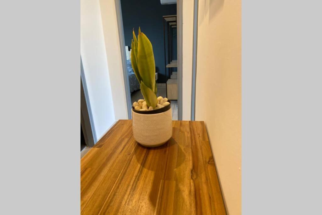 « L'Escale » Appartement Le Port Buitenkant foto